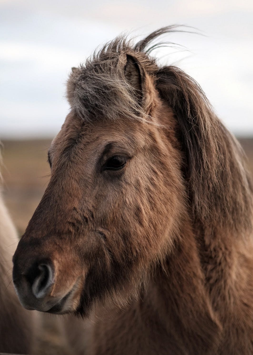 0aaaade4f60f426412ff5a716eb92917_MD5