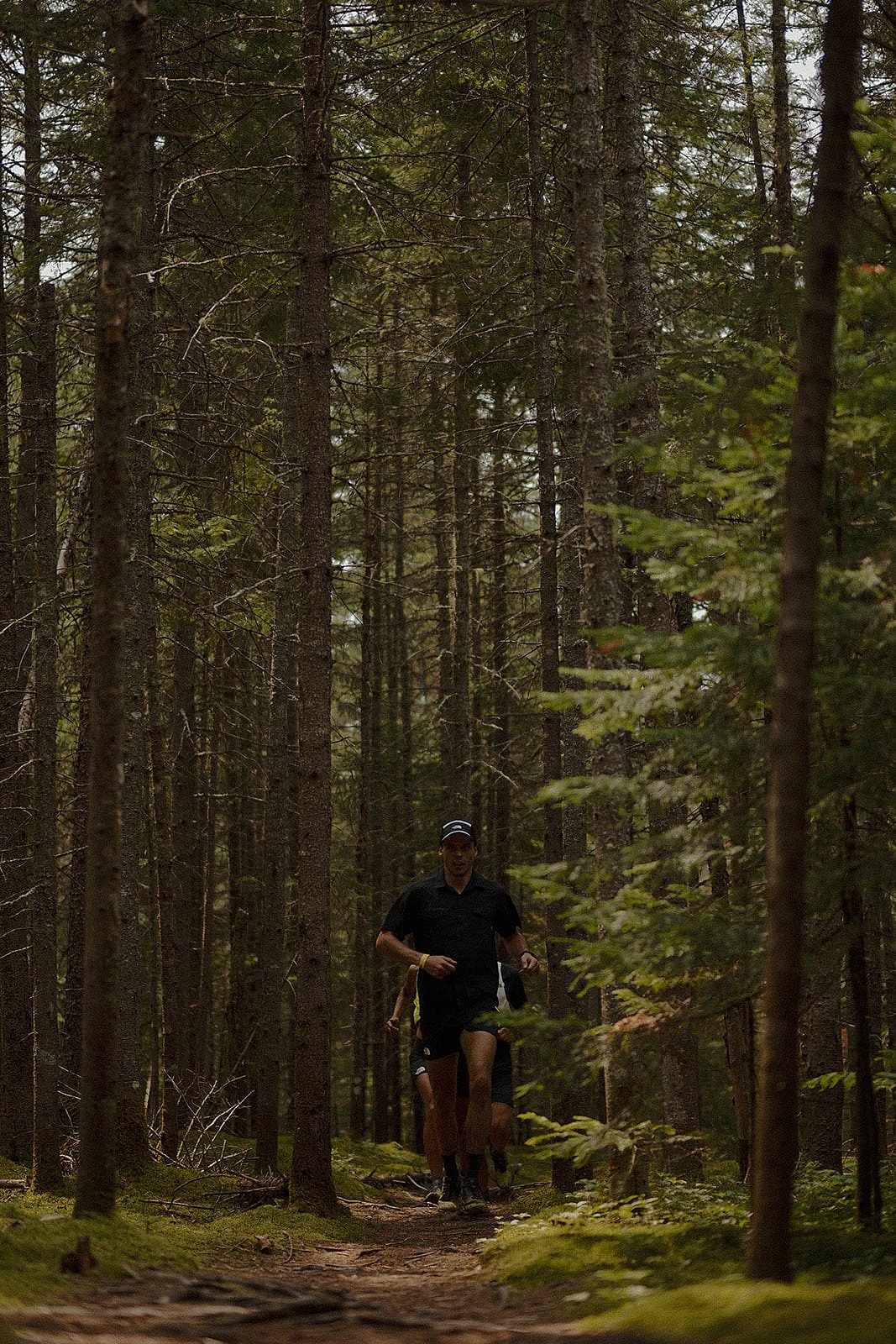 FFP-336-230715-MR-FFPX0894