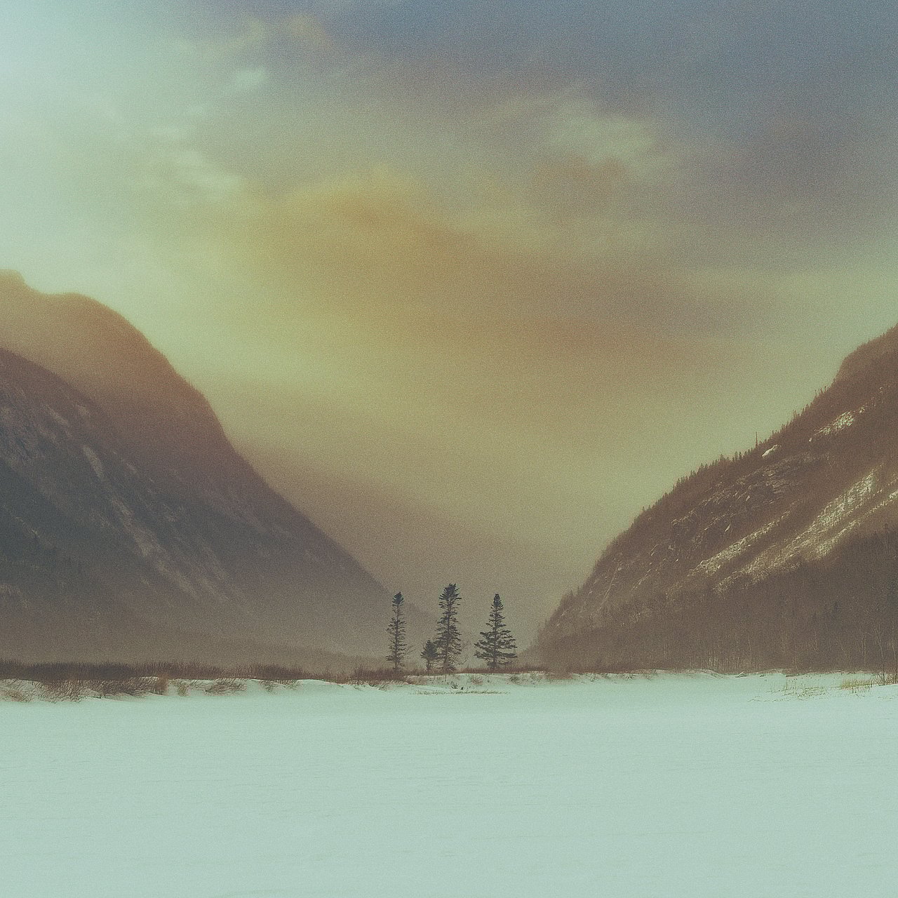 Nature_FFPG8462-Modifier_Full resolution_8736x8736_U_100_2048x2048_U_100_Flickr  500px