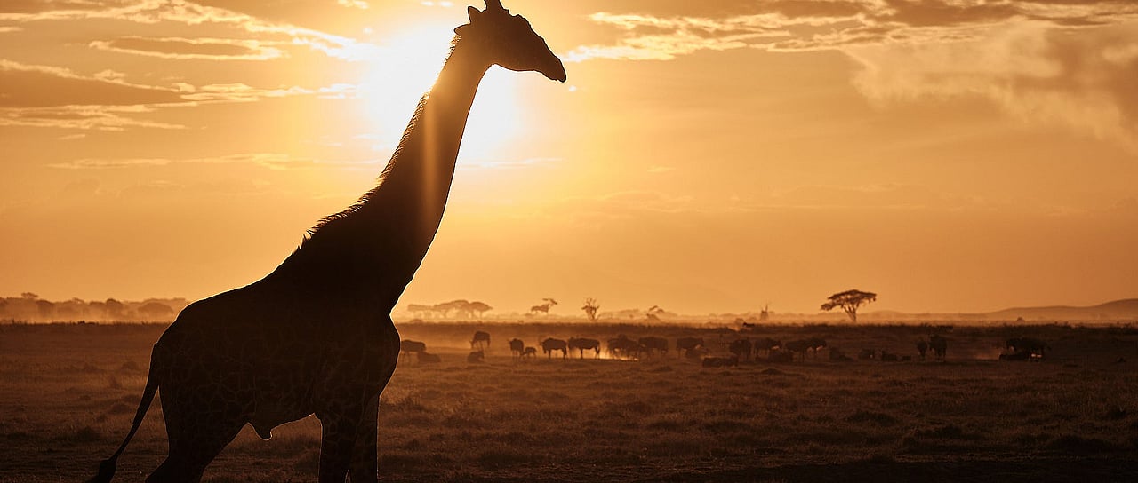 a846cc994f6a9e44ae03662be13dda80_MD5