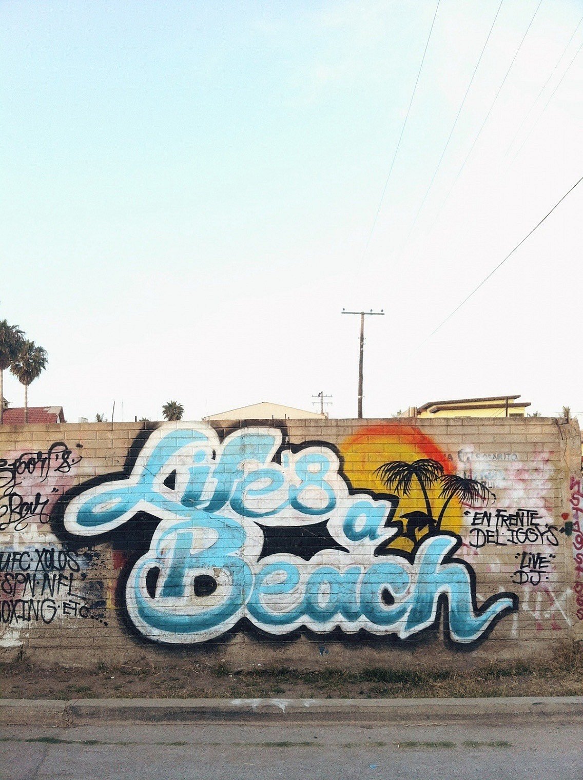 portfolio - 240422_IMG_6157